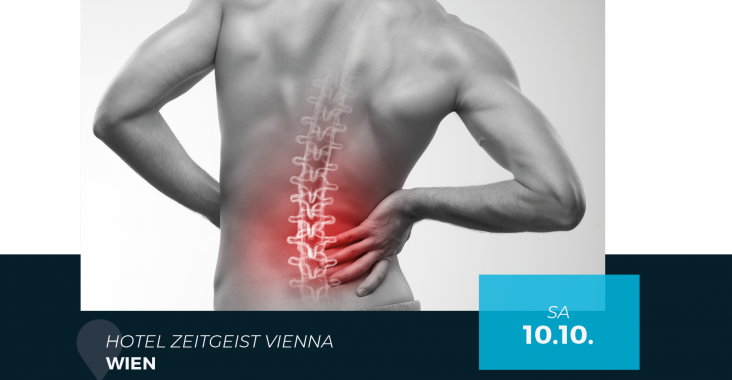 unspezifischer-rueckenschmerz-pallesitis-101020